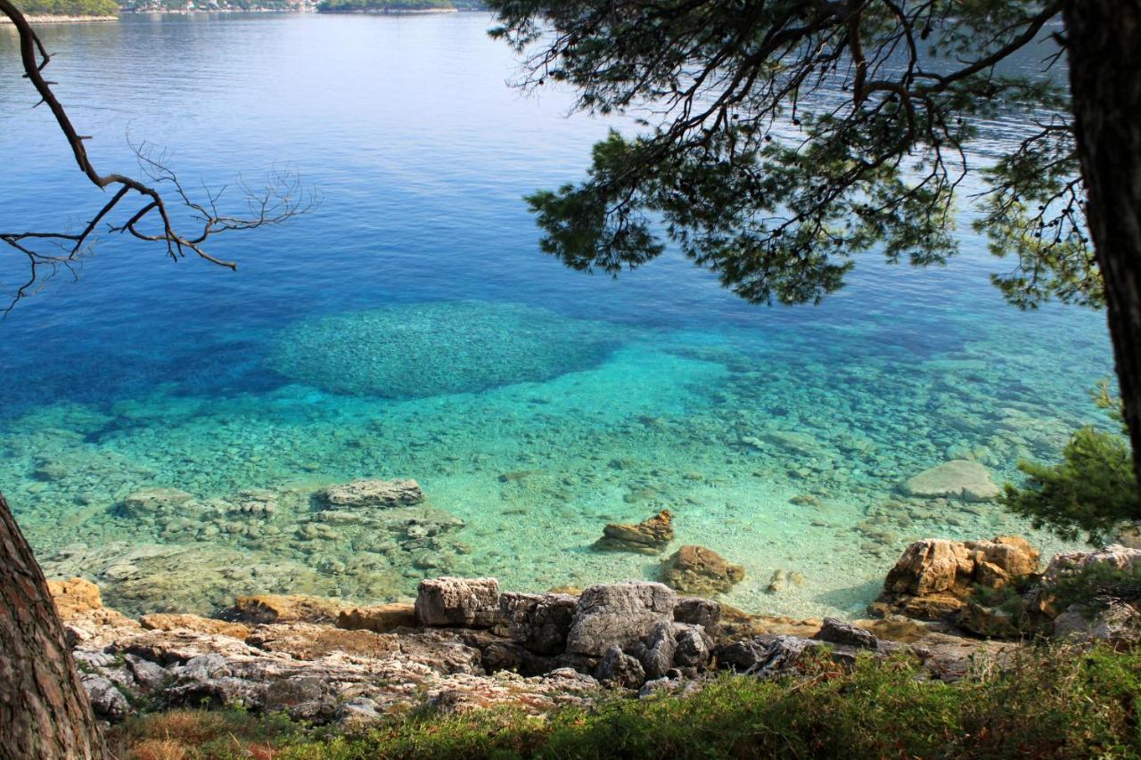 Apartments By The Sea Ubli, Lastovo - 8354 Uble Exterior foto