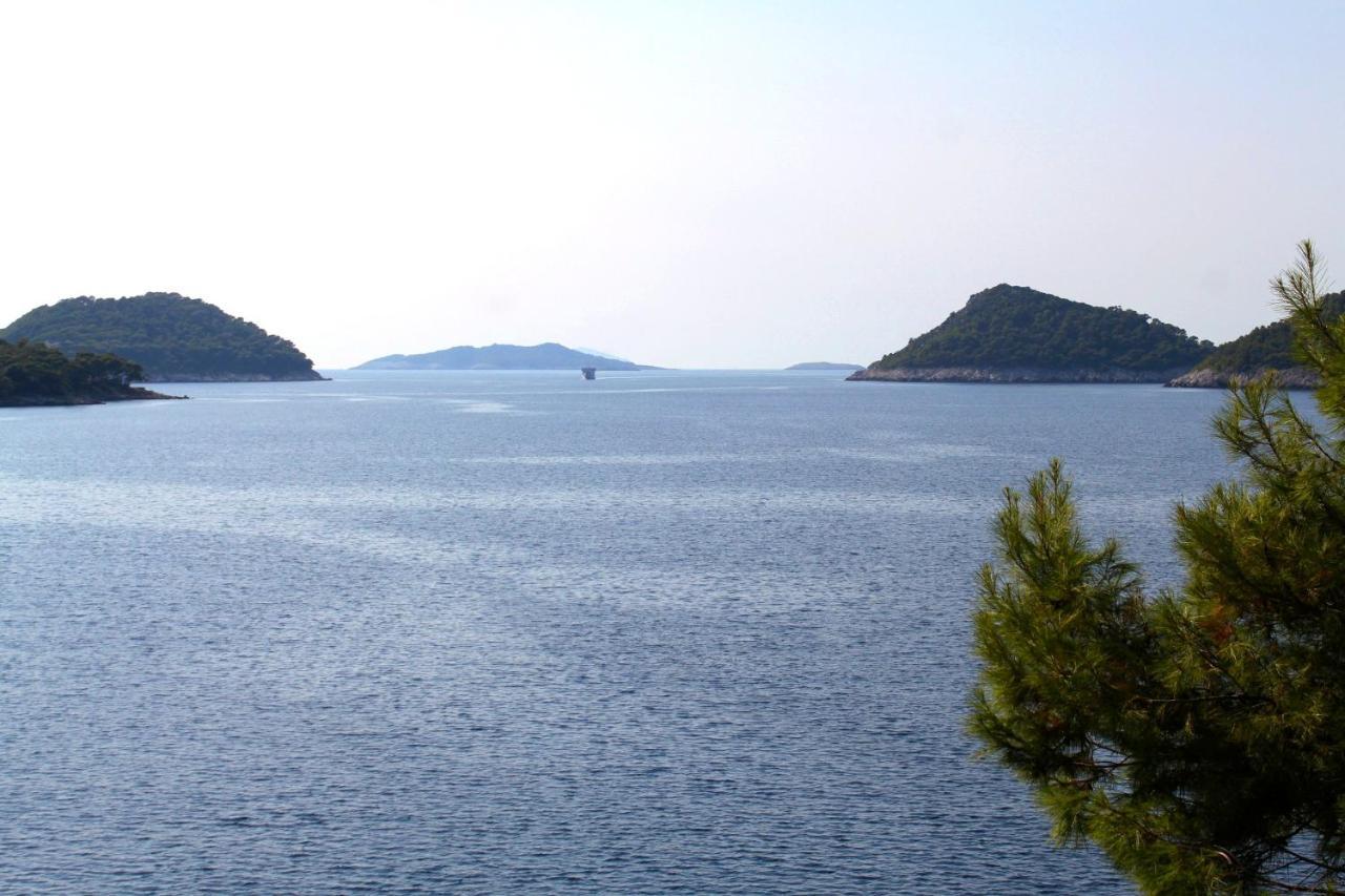 Apartments By The Sea Ubli, Lastovo - 8354 Uble Exterior foto